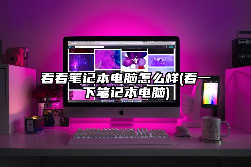 看看笔记本电脑怎么样(看一下笔记本电脑)