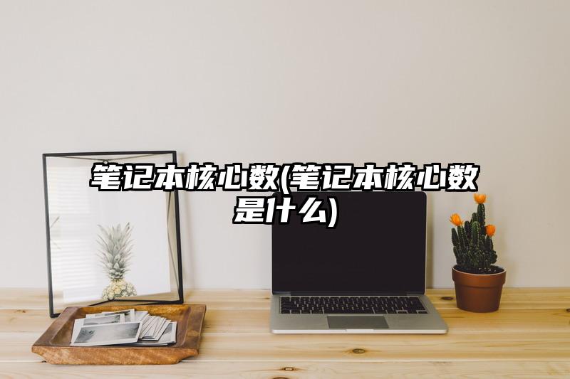 笔记本核心数(笔记本核心数是什么)