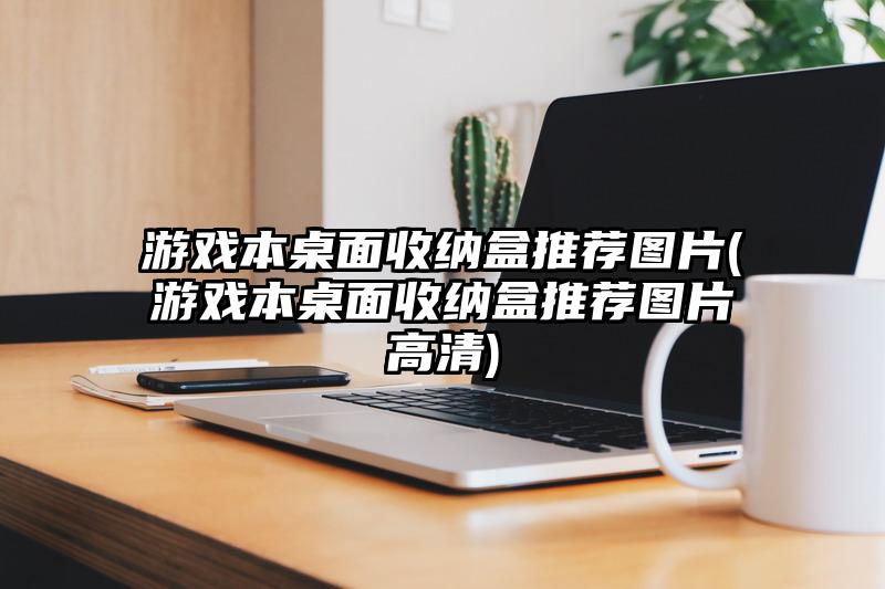 游戏本桌面收纳盒推荐图片(游戏本桌面收纳盒推荐图片高清)