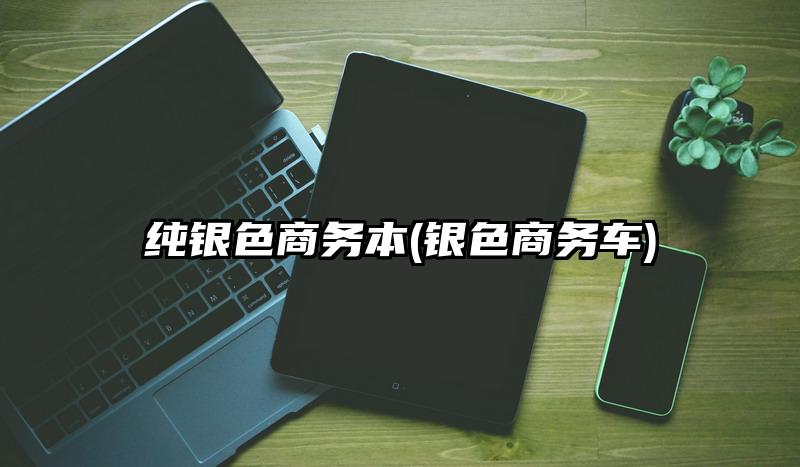 纯银色商务本(银色商务车)