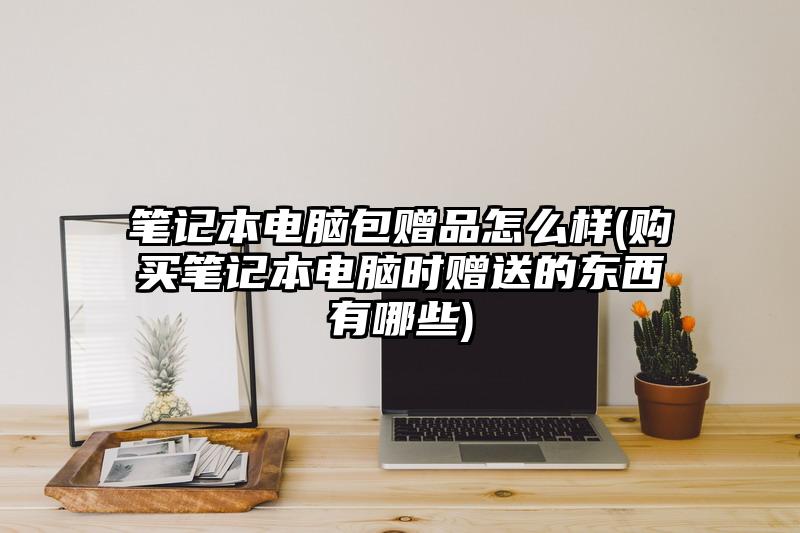 笔记本电脑包赠品怎么样(购买笔记本电脑时赠送的东西有哪些)