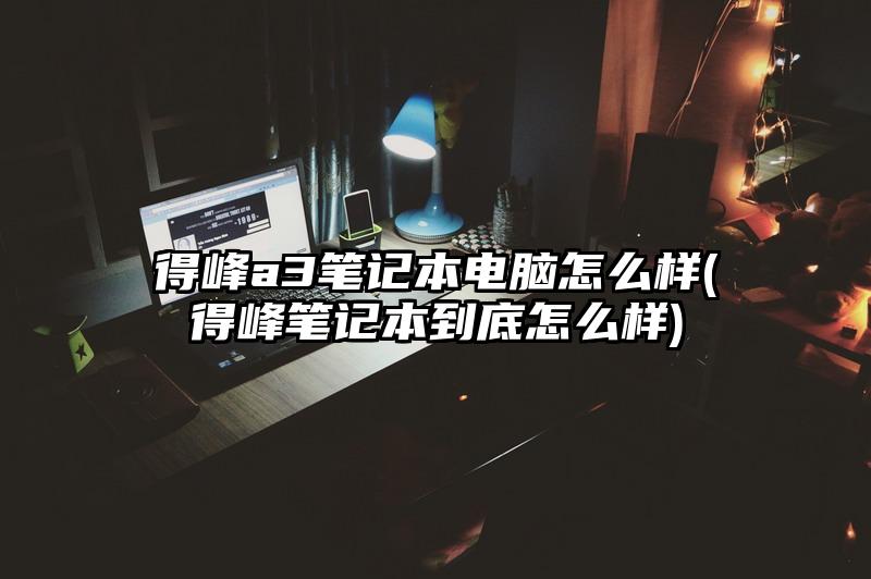 得峰a3笔记本电脑怎么样(得峰笔记本到底怎么样)