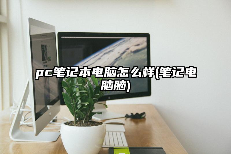 pc笔记本电脑怎么样(笔记电脑脑)