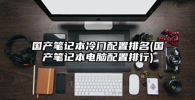 国产笔记本冷门配置排名(国产笔记本电脑配置排行)