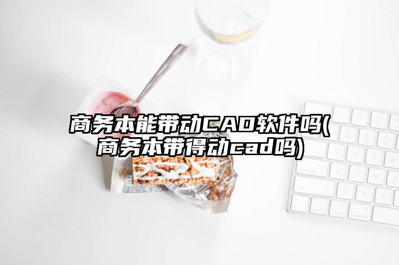 商务本能带动CAD软件吗(商务本带得动cad吗)