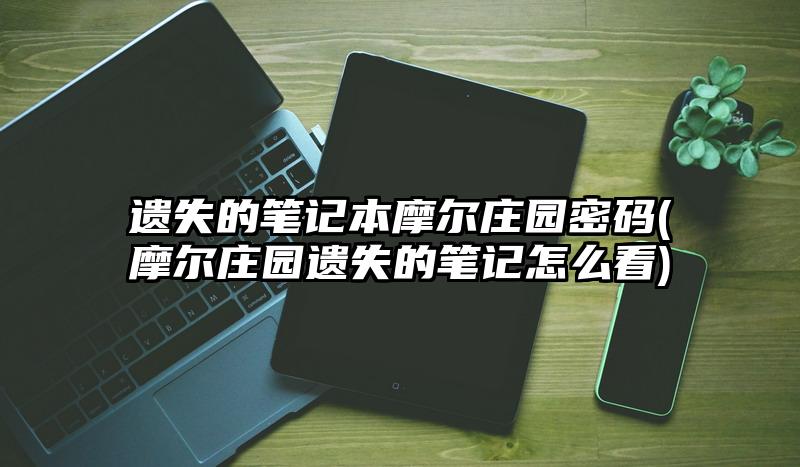 遗失的笔记本摩尔庄园密码(摩尔庄园遗失的笔记怎么看)