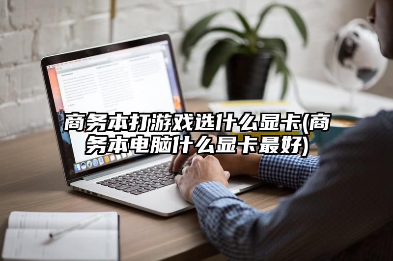 商务本打游戏选什么显卡(商务本电脑什么显卡最好)