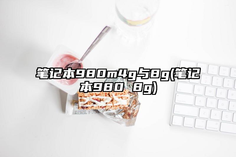 笔记本980m4g与8g(笔记本980 8g)
