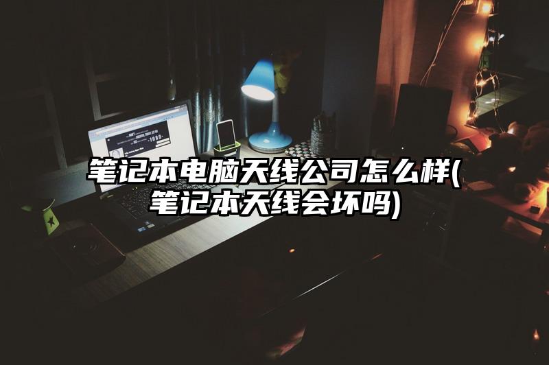 笔记本电脑天线公司怎么样(笔记本天线会坏吗)