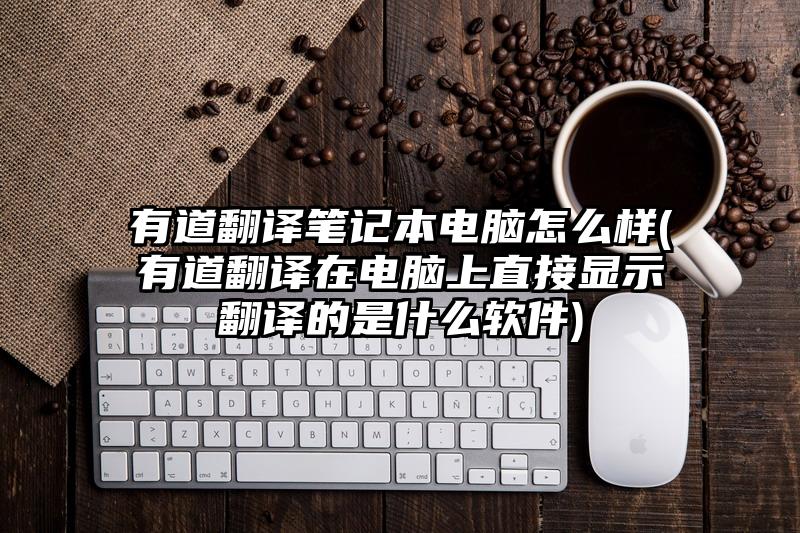 有道翻译笔记本电脑怎么样(有道翻译在电脑上直接显示翻译的是什么软件)