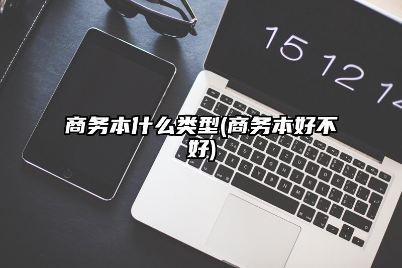 商务本什么类型(商务本好不好)