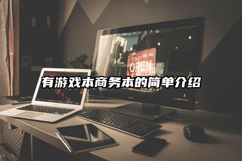 有游戏本商务本的简单介绍