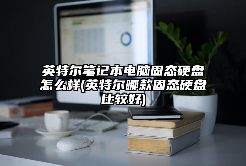 英特尔笔记本电脑固态硬盘怎么样(英特尔哪款固态硬盘比较好)