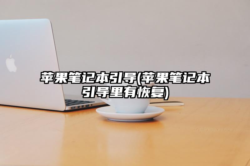 苹果笔记本引导(苹果笔记本引导里有恢复)