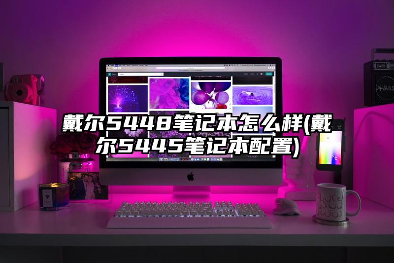 戴尔5448笔记本怎么样(戴尔5445笔记本配置)