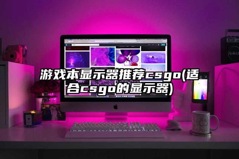 游戏本显示器推荐csgo(适合csgo的显示器)