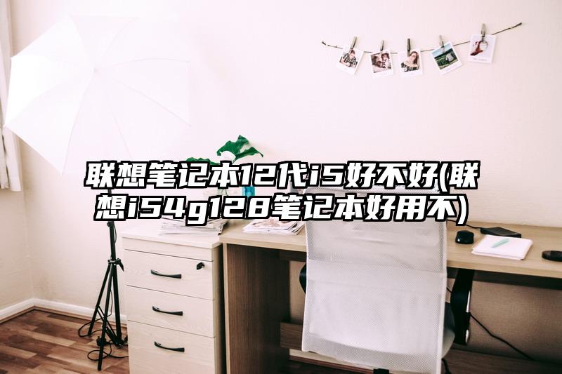 联想笔记本12代i5好不好(联想i54g128笔记本好用不)