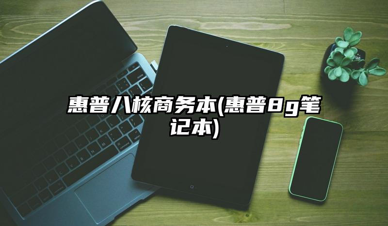 惠普八核商务本(惠普8g笔记本)