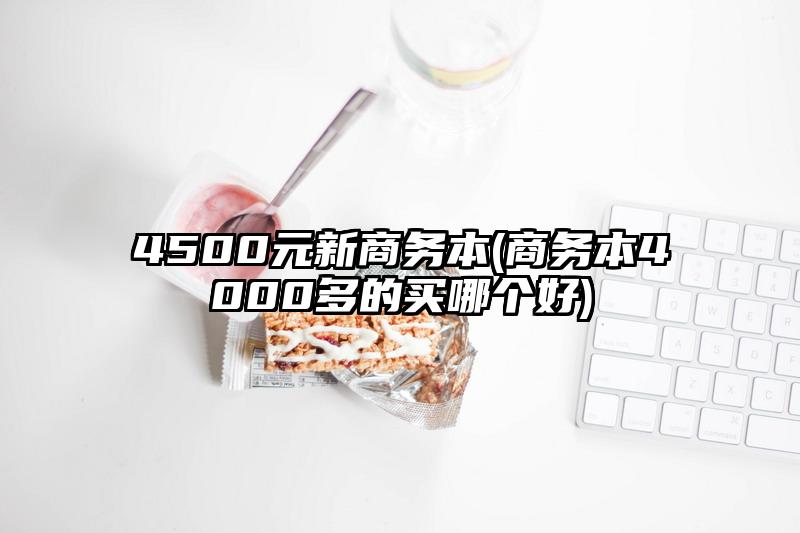 4500元新商务本(商务本4000多的买哪个好)