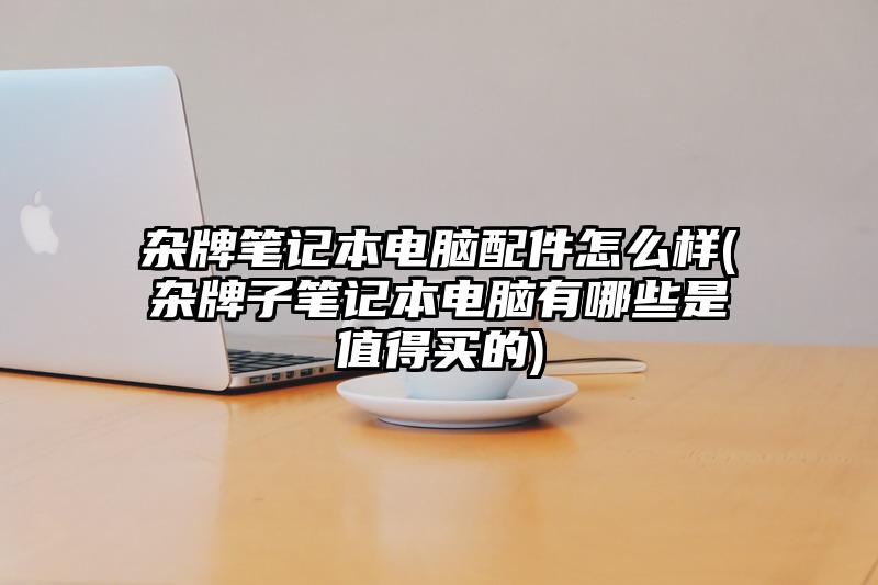 杂牌笔记本电脑配件怎么样(杂牌子笔记本电脑有哪些是值得买的)