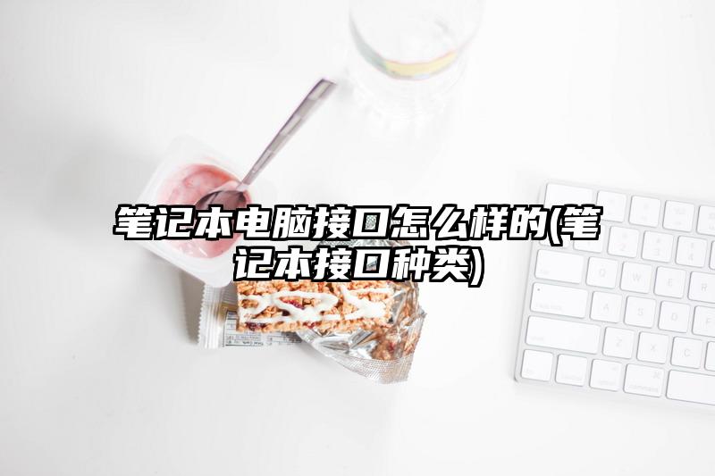 笔记本电脑接口怎么样的(笔记本接口种类)