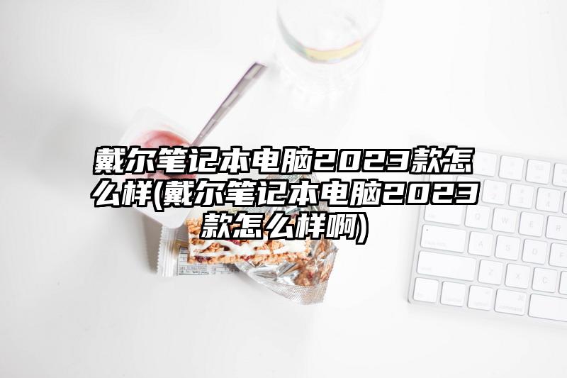 戴尔笔记本电脑2023款怎么样(戴尔笔记本电脑2023款怎么样啊)