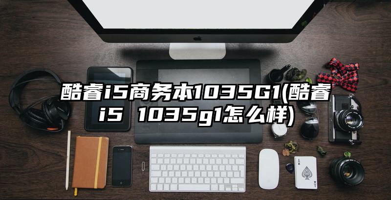 酷睿i5商务本1035G1(酷睿i5 1035g1怎么样)