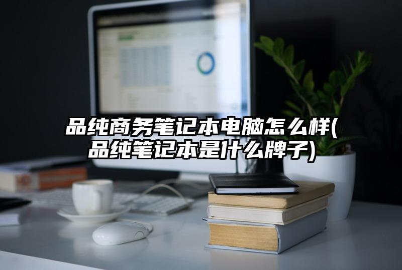 品纯商务笔记本电脑怎么样(品纯笔记本是什么牌子)