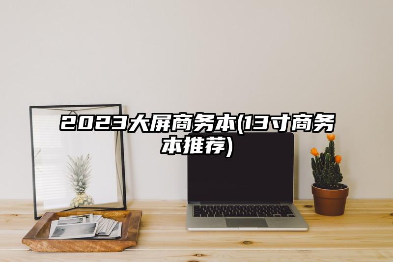 2023大屏商务本(13寸商务本推荐)