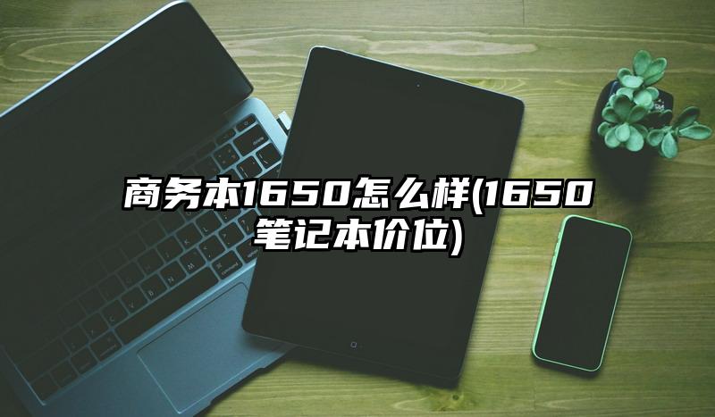 商务本1650怎么样(1650笔记本价位)
