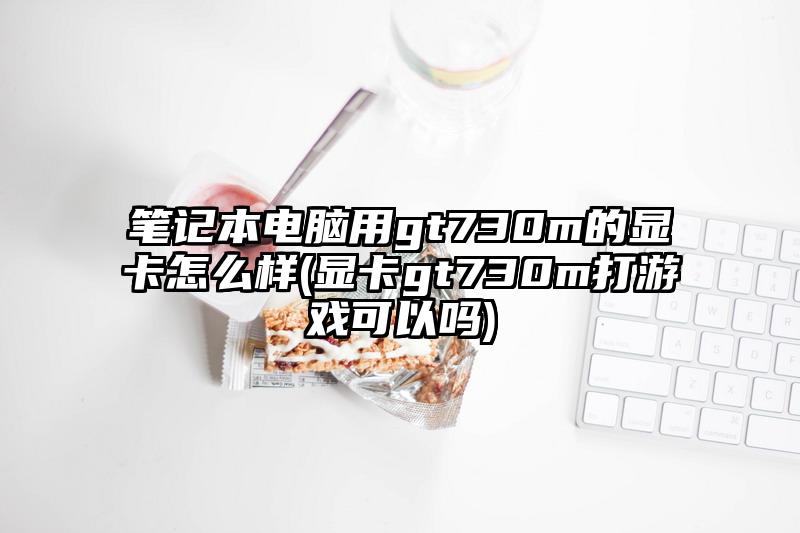 笔记本电脑用gt730m的显卡怎么样(显卡gt730m打游戏可以吗)