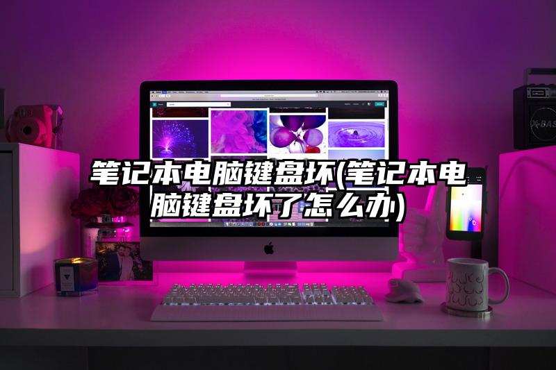 笔记本电脑键盘坏(笔记本电脑键盘坏了怎么办)