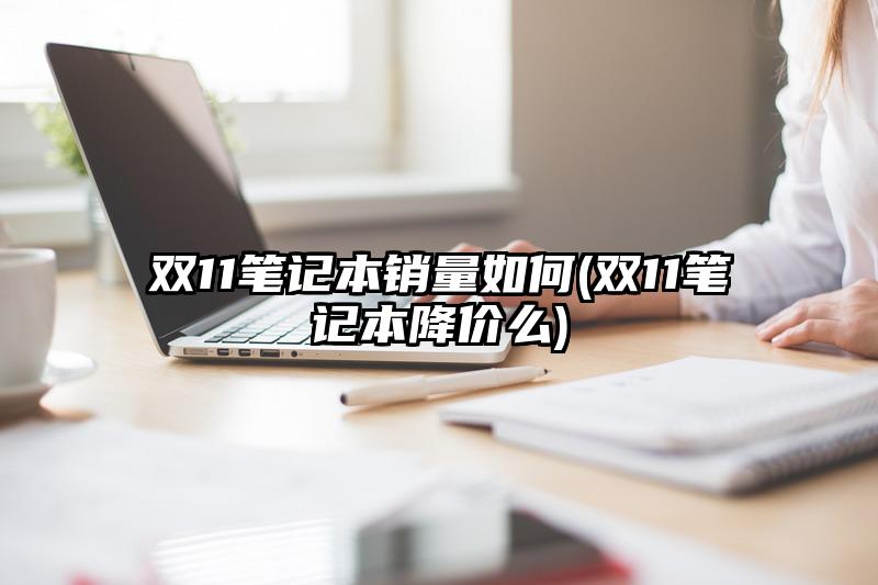 双11笔记本销量如何(双11笔记本降价么)