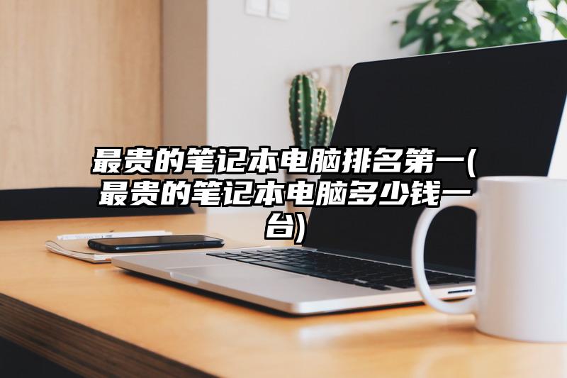 最贵的笔记本电脑排名第一(最贵的笔记本电脑多少钱一台)