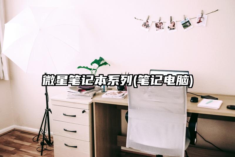 微星笔记本系列(笔记电脑)