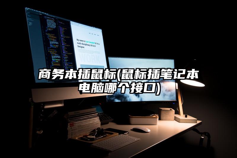 商务本插鼠标(鼠标插笔记本电脑哪个接口)