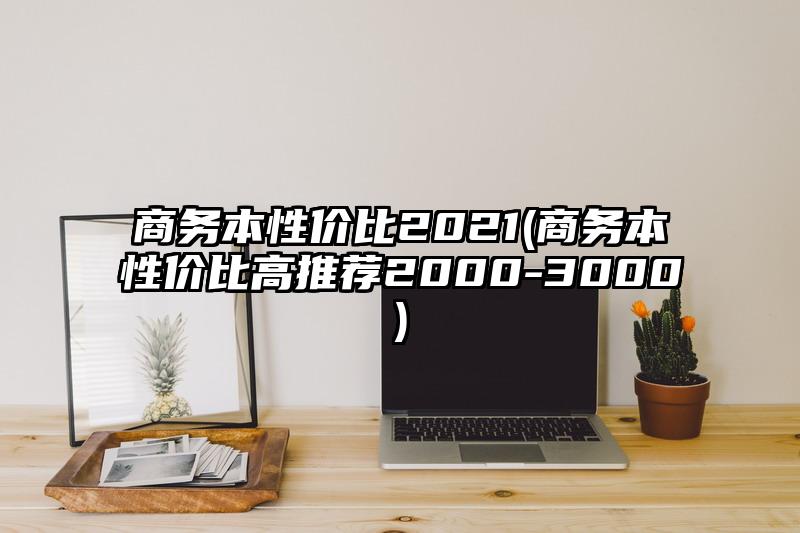商务本性价比2021(商务本性价比高推荐2000-3000)