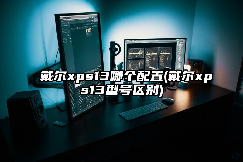 戴尔xps13哪个配置(戴尔xps13型号区别)