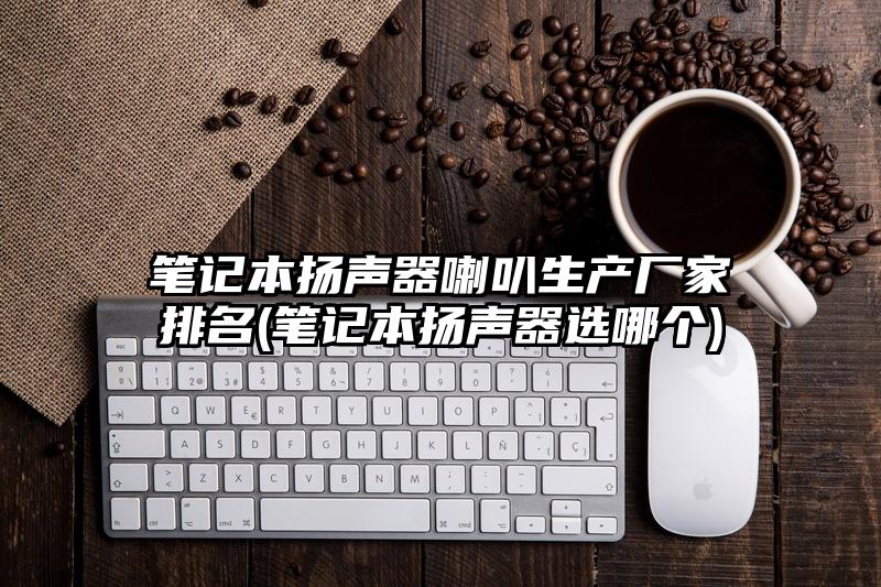 笔记本扬声器喇叭生产厂家排名(笔记本扬声器选哪个)