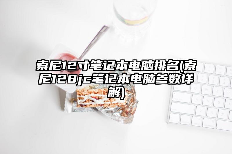 索尼12寸笔记本电脑排名(索尼128jc笔记本电脑参数详解)