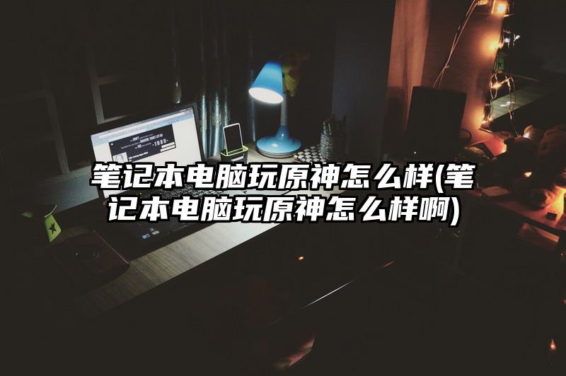 笔记本电脑玩原神怎么样(笔记本电脑玩原神怎么样啊)