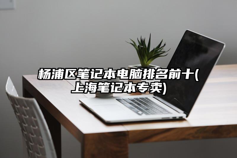 杨浦区笔记本电脑排名前十(上海笔记本专卖)