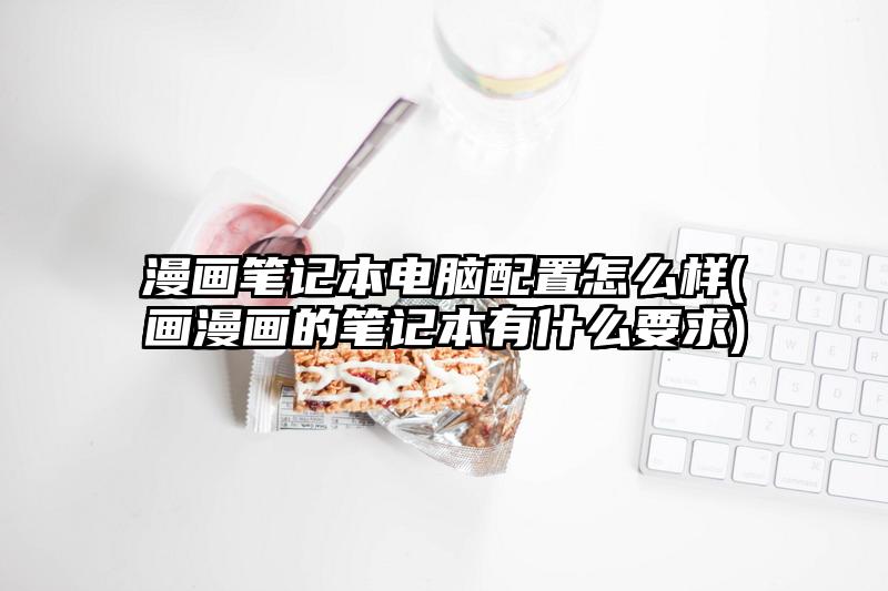 漫画笔记本电脑配置怎么样(画漫画的笔记本有什么要求)