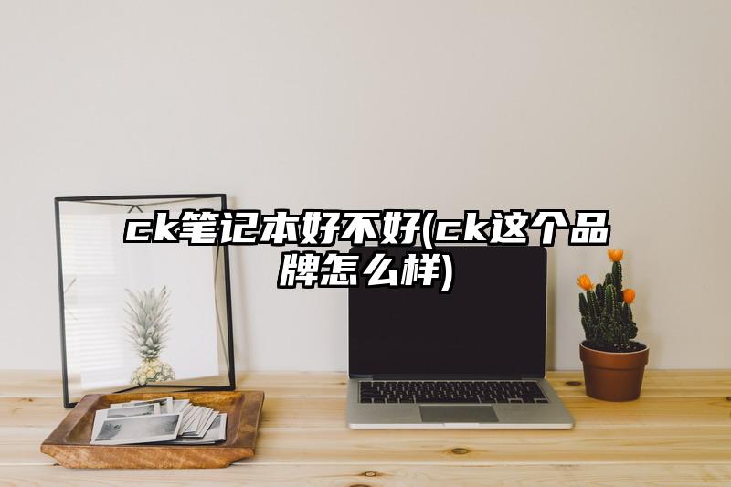 ck笔记本好不好(ck这个品牌怎么样)