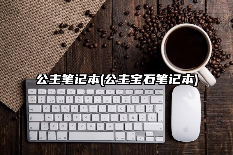 公主笔记本(公主宝石笔记本)