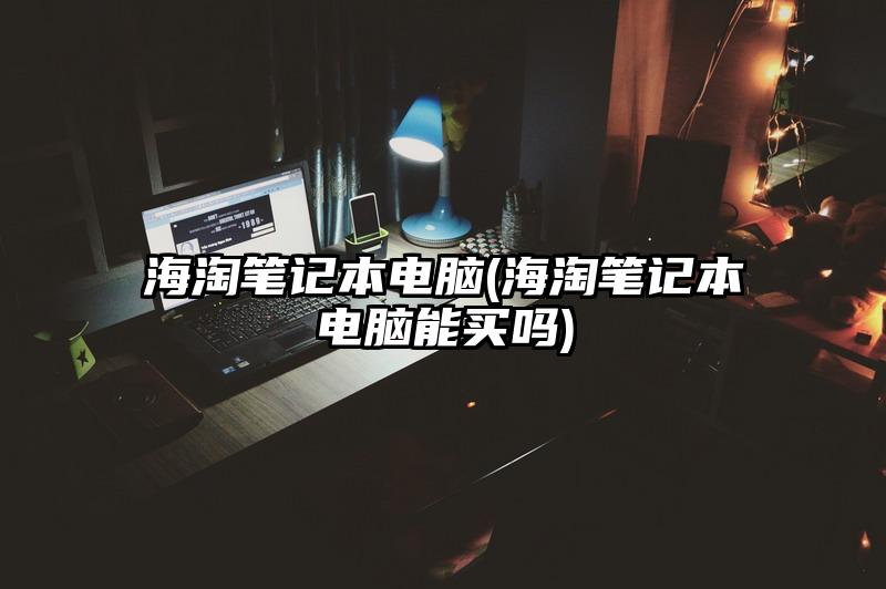 海淘笔记本电脑(海淘笔记本电脑能买吗)