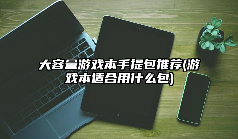 大容量游戏本手提包推荐(游戏本适合用什么包)