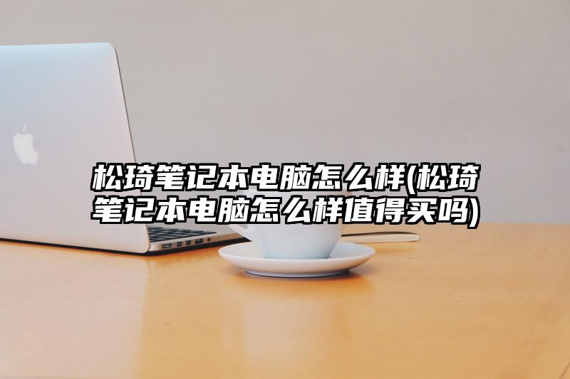 松琦笔记本电脑怎么样(松琦笔记本电脑怎么样值得买吗)