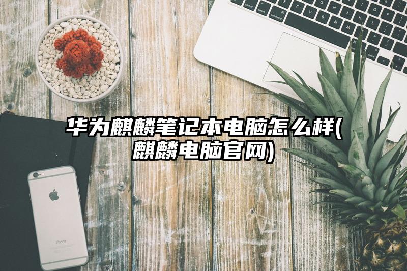 华为麒麟笔记本电脑怎么样(麒麟电脑官网)