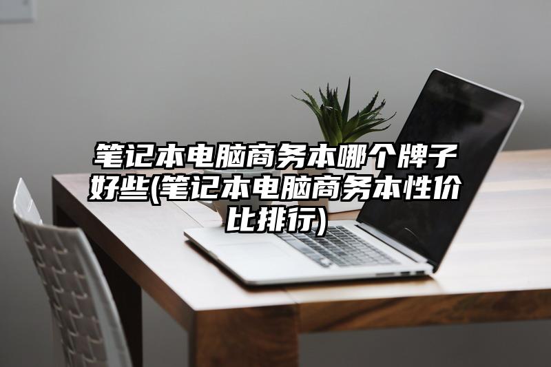 笔记本电脑商务本哪个牌子好些(笔记本电脑商务本性价比排行)